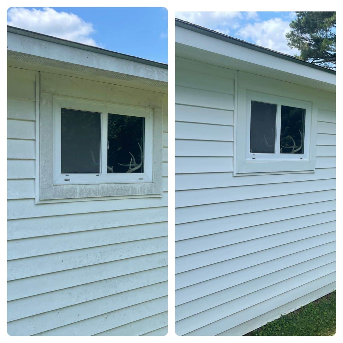 Before and after house washing showing algae removal from vinyl siding — Luffman's Pressure Washing